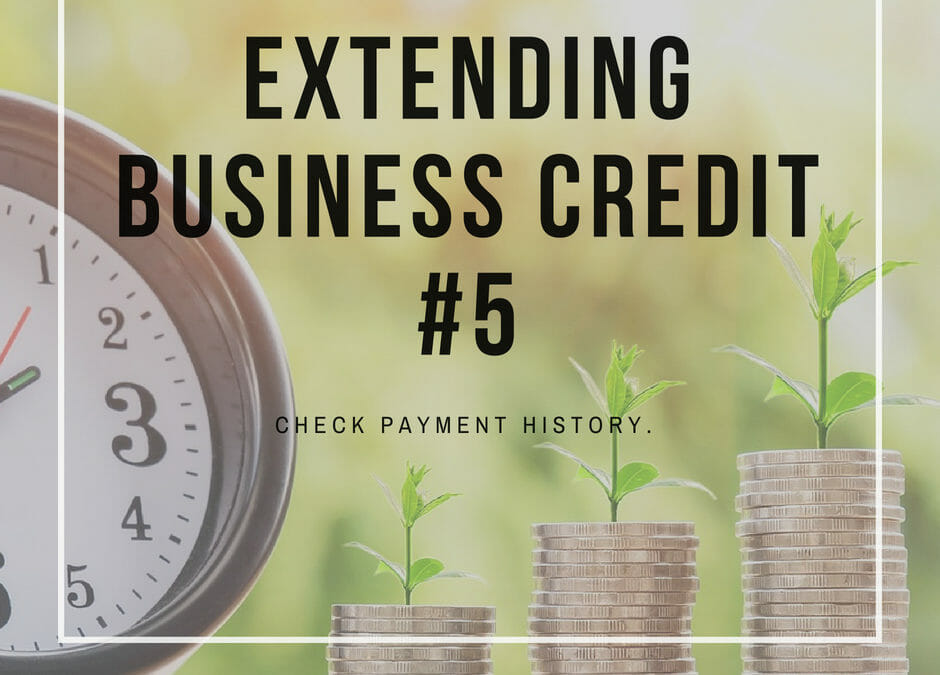 Extending Business Credit – Check Payment History